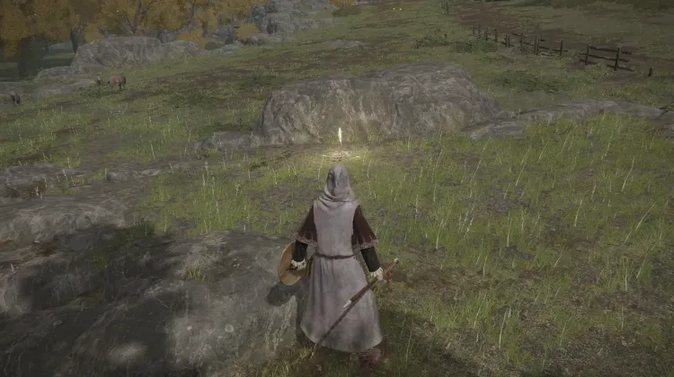 Mistwood Outskirts