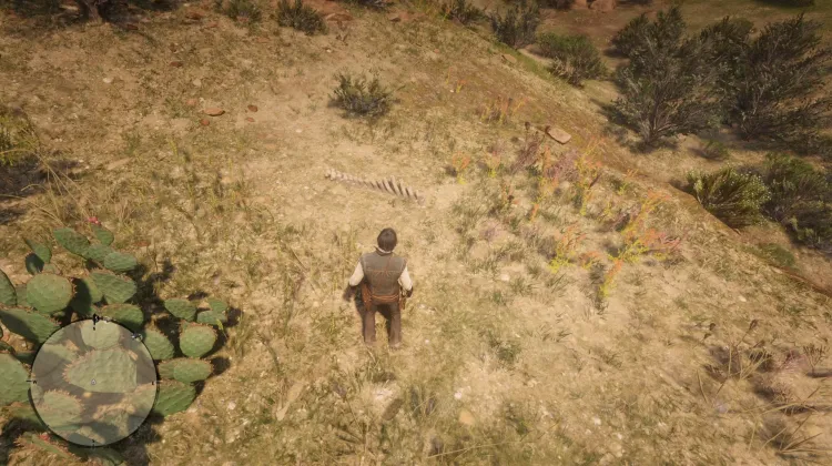 Hueso de Dinosaurio