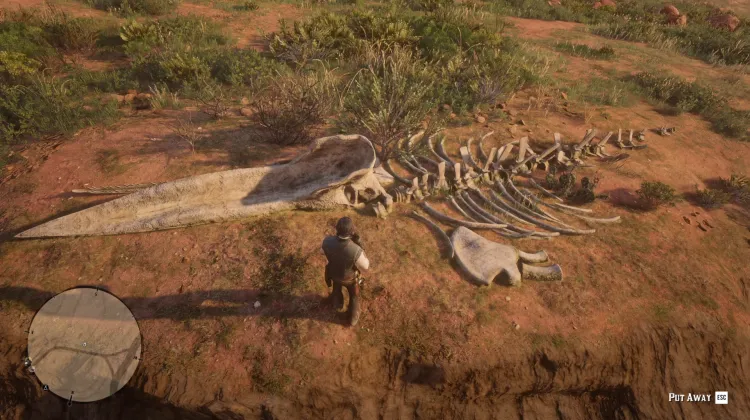 Sperm Whale Bones