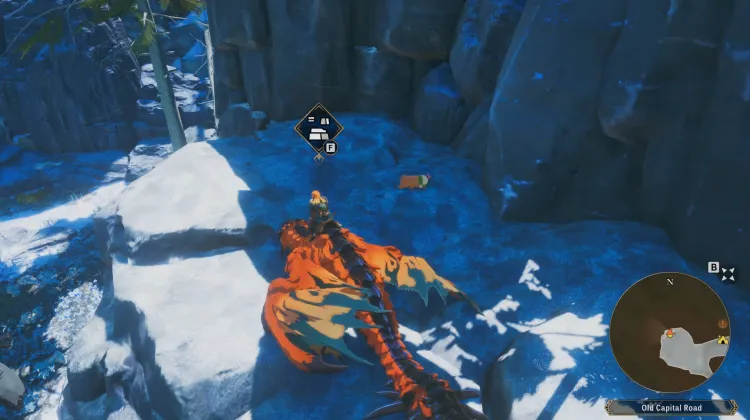 Poogie