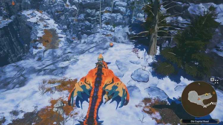 Poogie