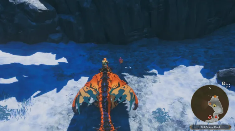Poogie