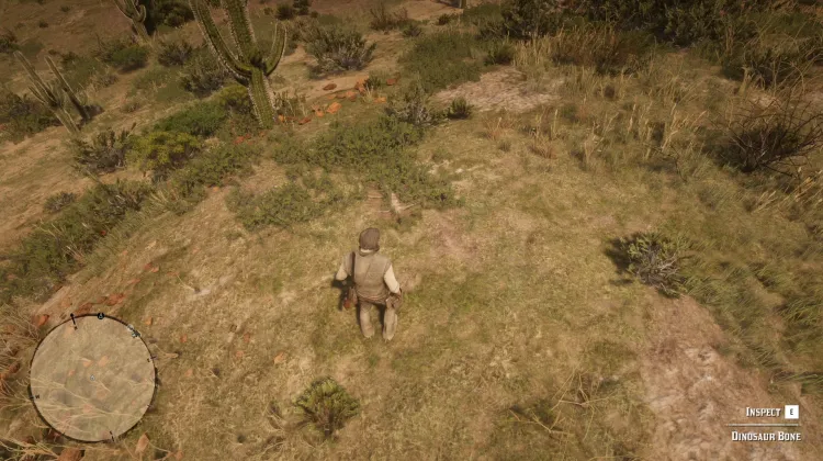 Hueso de Dinosaurio