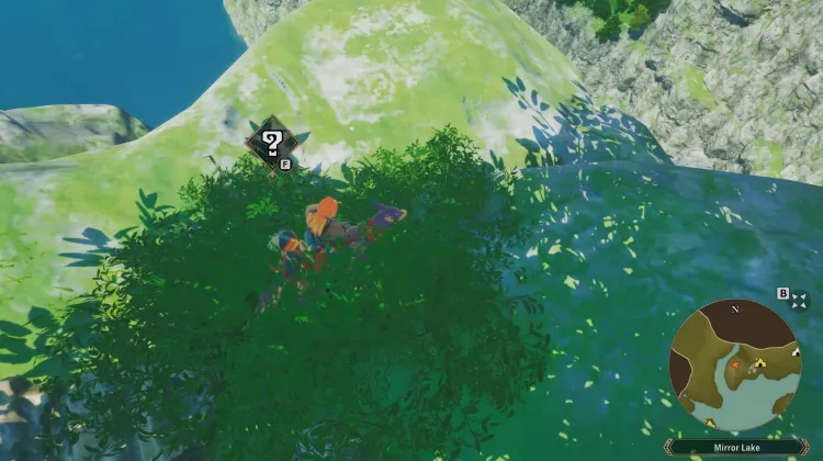 Poogie