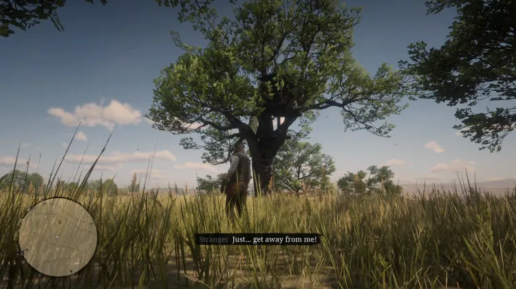 Tree House Man
