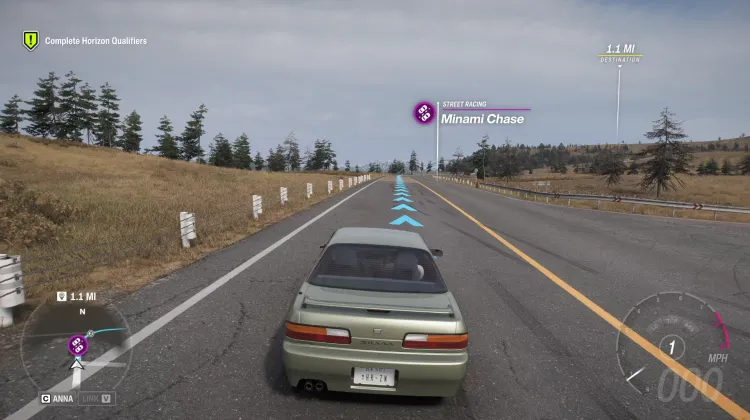 Minami Chase