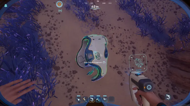Tadpole Fragment 01
