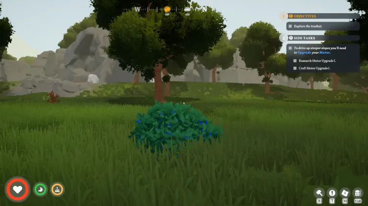 Roadberry Bush