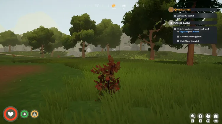 Fiber Bush