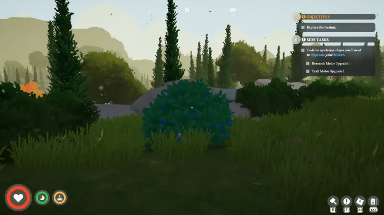 Roadberry Bush
