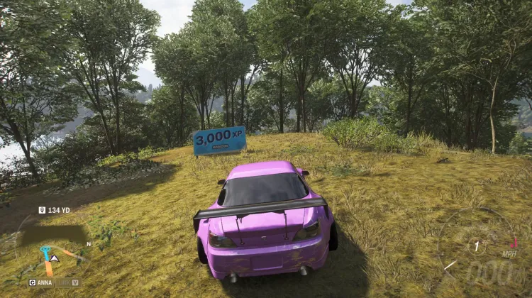 3000 XP