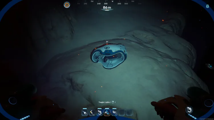 Tadpole Fragment 01
