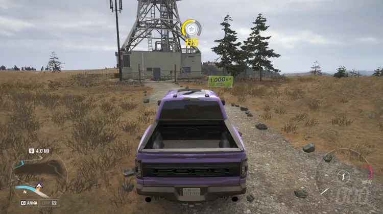 1000 XP