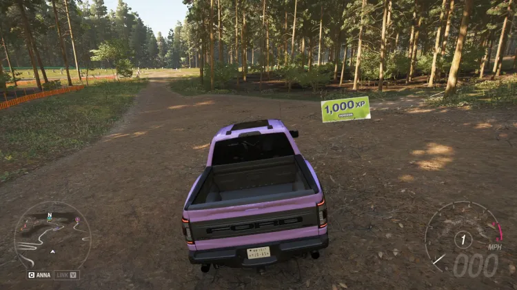 1000 XP