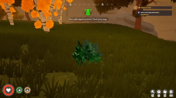 Carrot