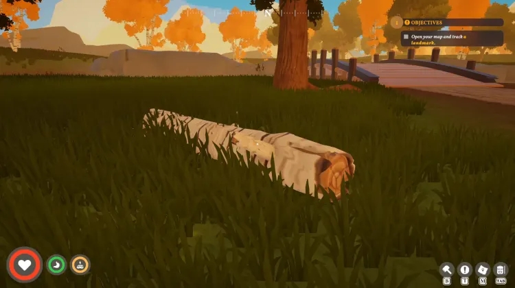 Silverbark Tree (dead)