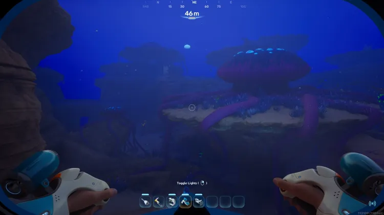 Coral Gardens Plateaus Mega Jelly Nursery
