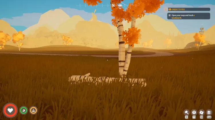 Silverbark Tree (dead)