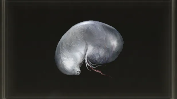 Larval Tear