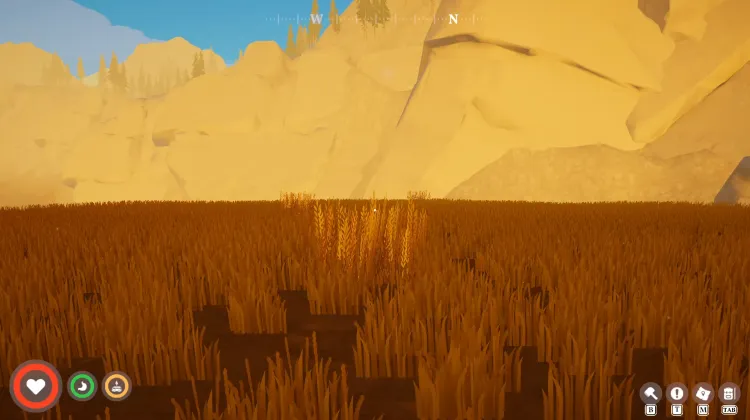 Grain x5