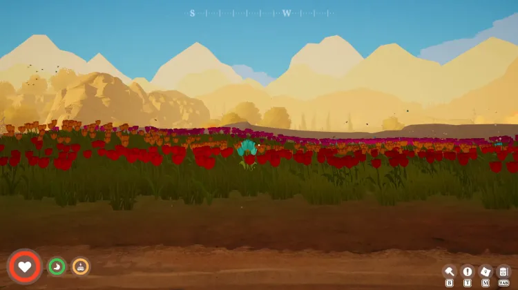 Flower Petals x11