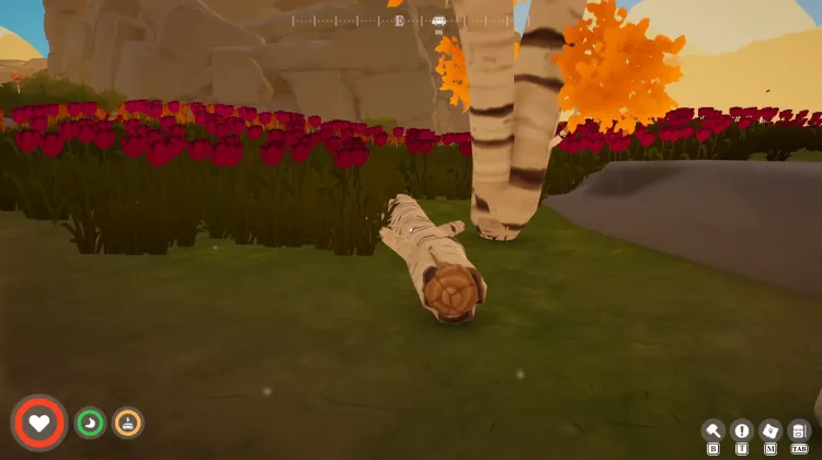 Silverbark Tree (dead)