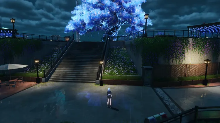 Yuanmu Hill Wishing Tree
