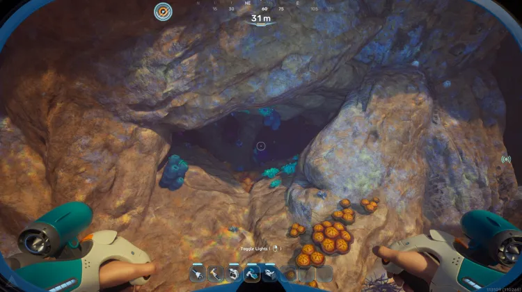 Coral Gardens Plateaus Camp One Cave