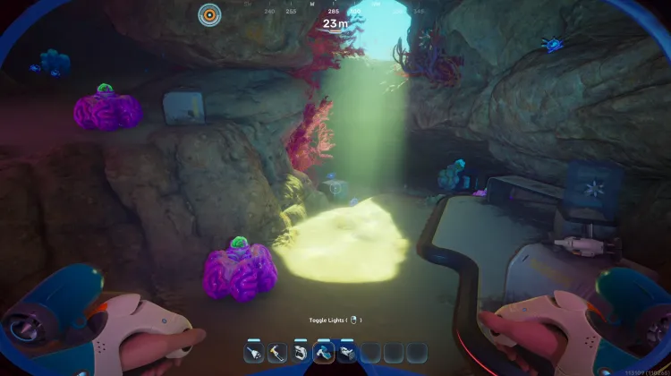 Coral Gardens Shallows Slot Cave