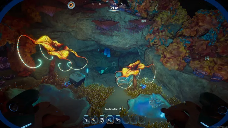 Coral Gardens Shallows Mother Dome Cave