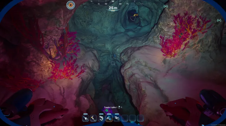 Coral Gardens Shallows Pillar Cave