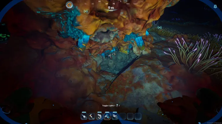 Coral Gardens Shallows Nook3