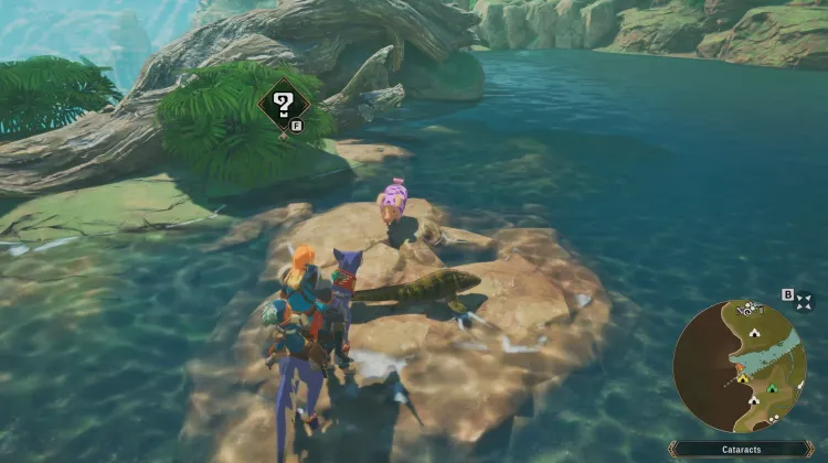 Poogie