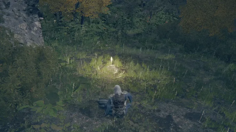 Beside the Crater-Pocked Glade