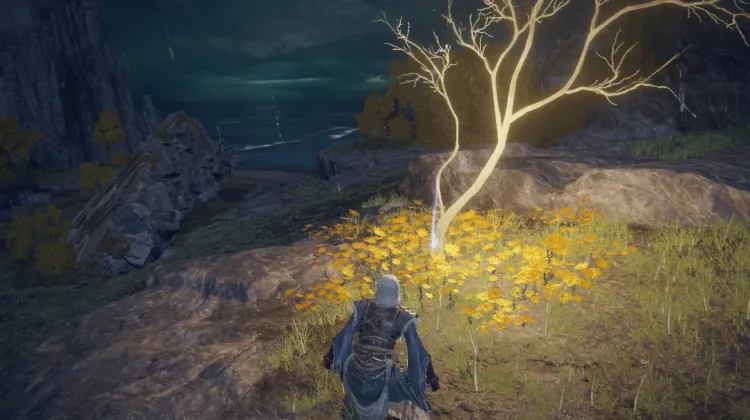 Golden Seed