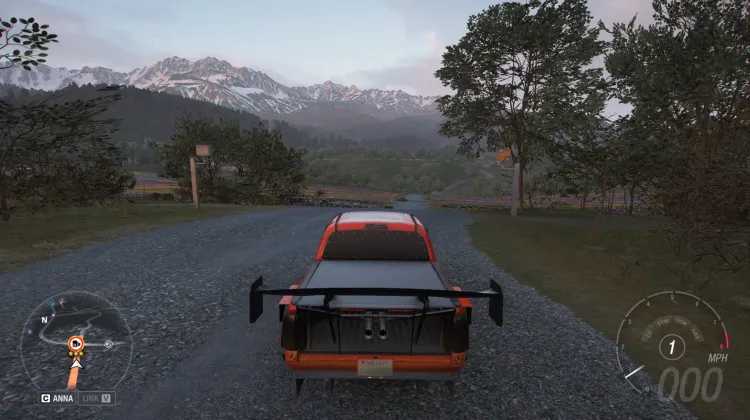 Flower Run