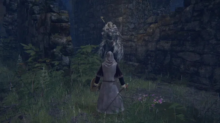Blaidd's Quest