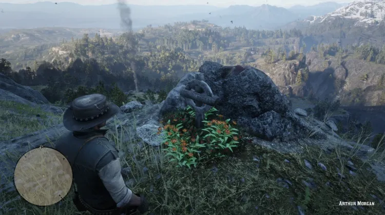Grave - Red Dead Redemption 2 Map for Red Dead Redemption 2 Checklist ...
