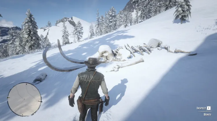 Mammoth Skeleton