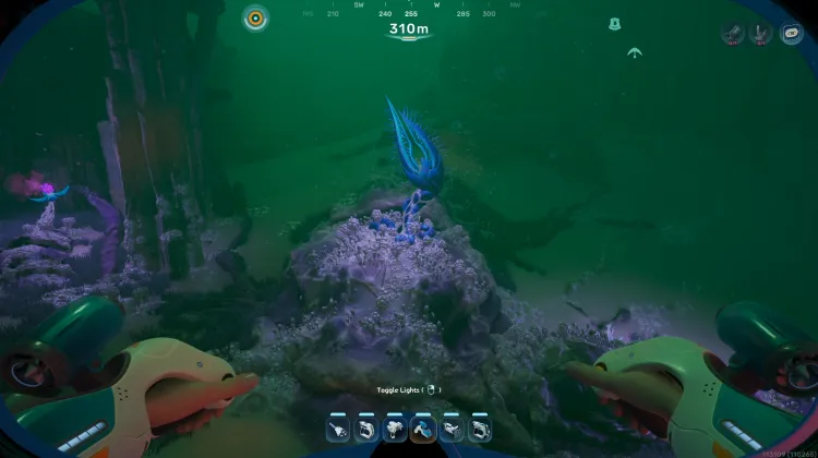 Axum Ruins Blighted Bloom Node C