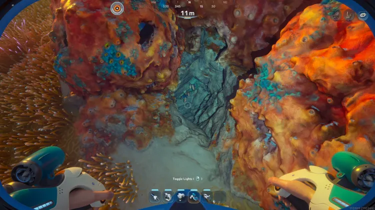 Coral Gardens Shallows Nook2