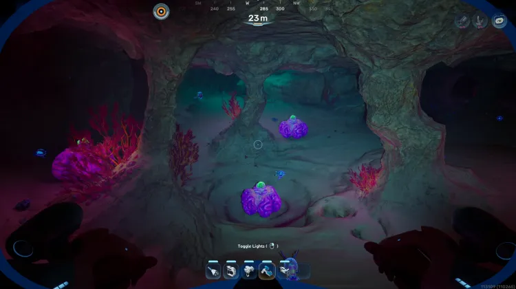 Coral Gardens Shallows Trio Cave