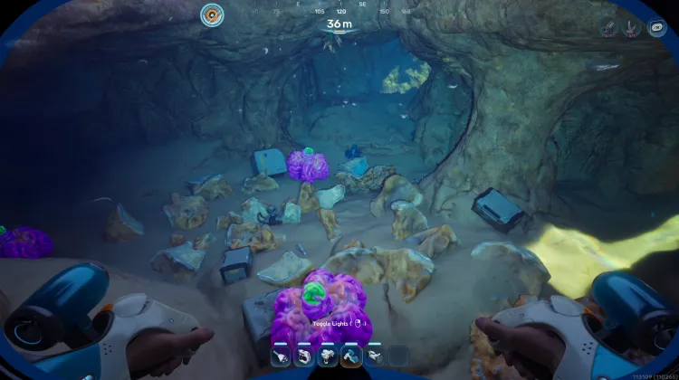 Coral Gardens Shallows Saddle Cave