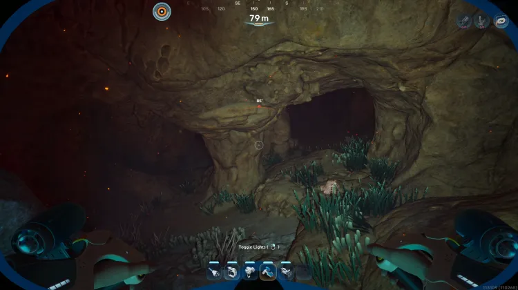 Coral Gardens Graveyard Underside Cave