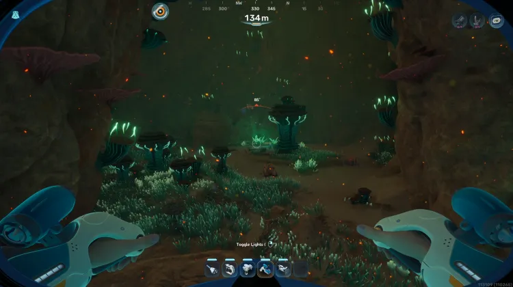 Coral Gardens Graveyard Chasm Cave