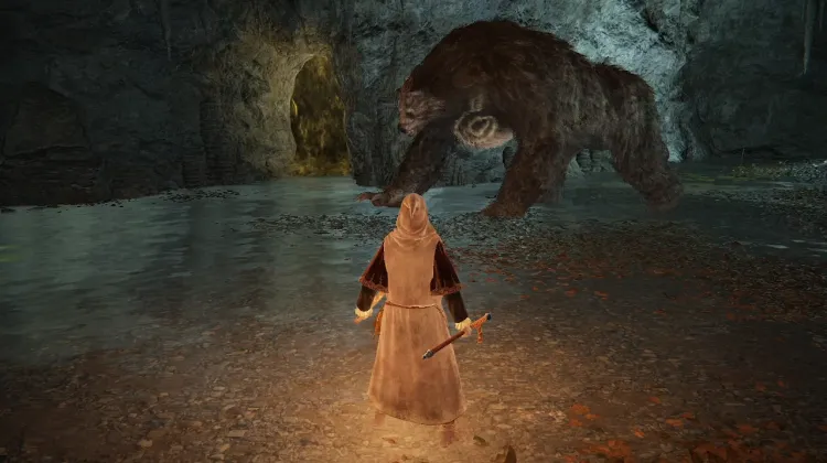 Orso delle Rune