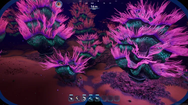 Coral Gardens Anemone Hills 01