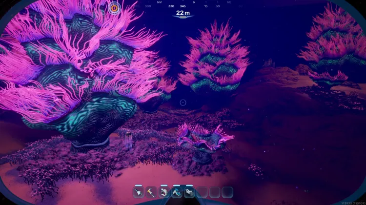 Coral Gardens Anemone Hills 02