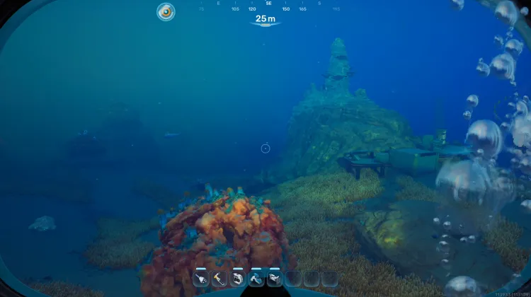 Coral Gardens Transition Cicada Site Gravity Trap