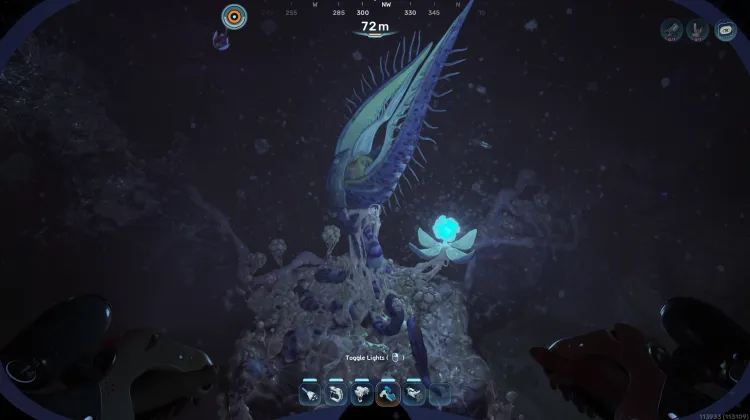 Coral Gardens Blighted Bloom Node A